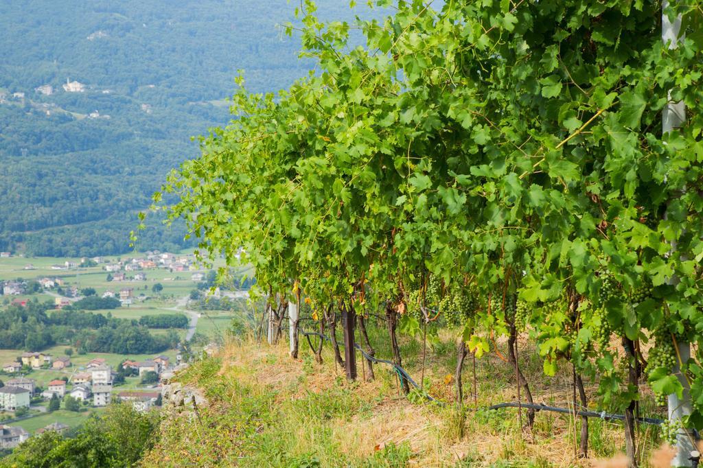 B&B Ca' La Vedescia Teglio Exteriér fotografie
