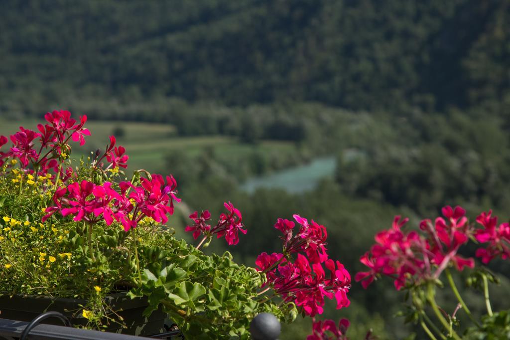B&B Ca' La Vedescia Teglio Exteriér fotografie